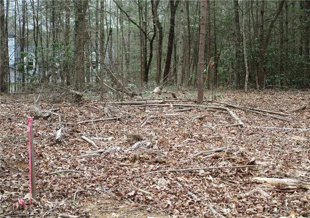 Photo 4 of Land for sale at 3 Ac E New Hope Rd, Ellijay, GA 30536 | MLS# 7749632 | Listing updated on 2026-08-24