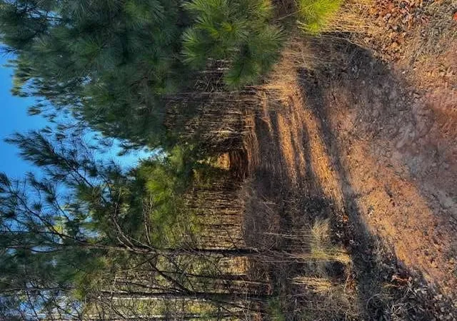 Land for sale at 0 Belford Way, Jackson, GA 30233 | MLS# 7760561
