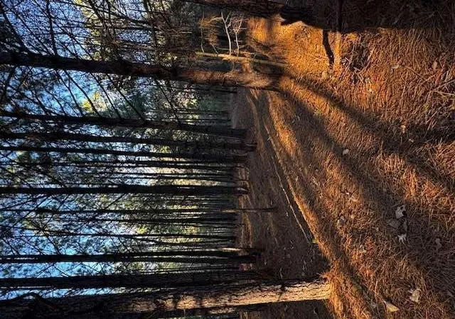 Photo 3 of Land for sale at 0 Belford Way, Jackson, GA 30233 | MLS# 7760561 | Listing updated on 2026-05-04