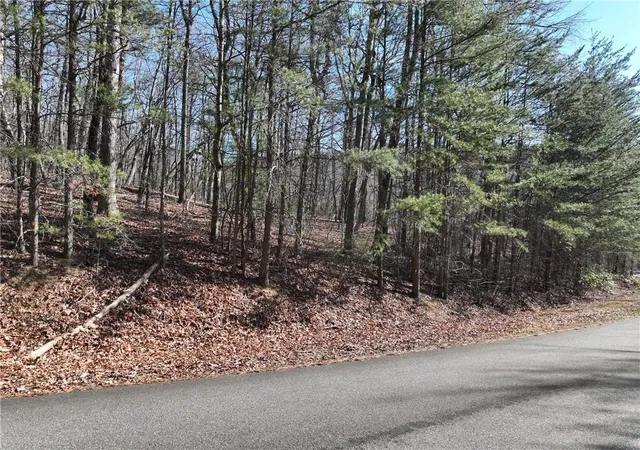 Photo 1 of Land for sale at 58 Saint Andrews Way, Ellijay, GA 30536 | MLS# 7820311 | Listing updated on 2026-08-23