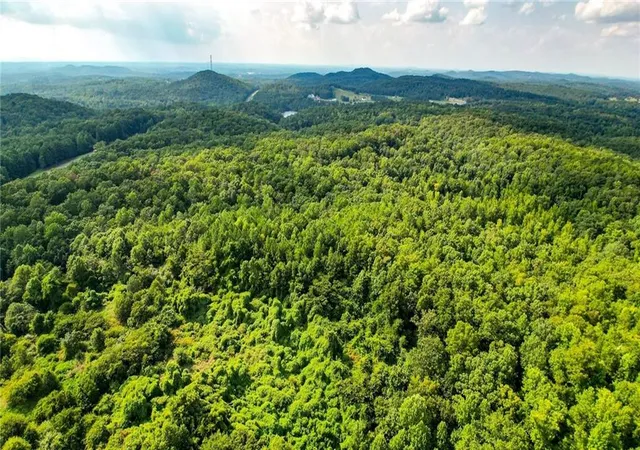 15th image of 2979 Nathan Dean Pkwy, Rockmart, GA 30153 | MLS# 7445340