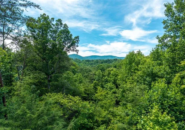 Homes for sale in Ellijay, GA | 1172 Settlers Ridge Rd, Ellijay, GA 30540 | MLS# 7788079