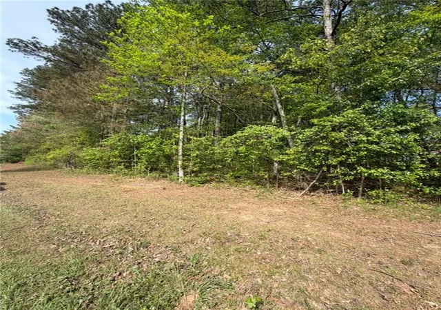 Photo 4 of Land for sale at 7195 Freeman Rd, Cumming, GA 30028 | MLS# 7759495 | Listing updated on 2026-04-26