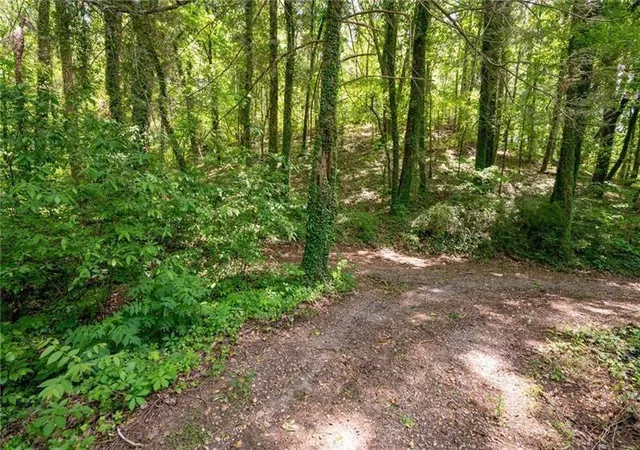 Photo 29 of Land for sale at 2471 52 Highway, Chatsworth, GA 30705 | MLS# 7829991 | Listing updated on 2026-09-01