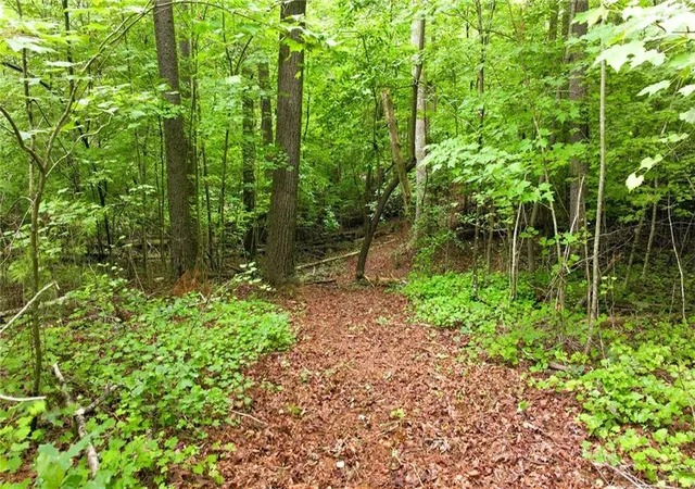 16th image of 575 Hidden Valley Dr, Demorest, GA 30535 | MLS# 7821599