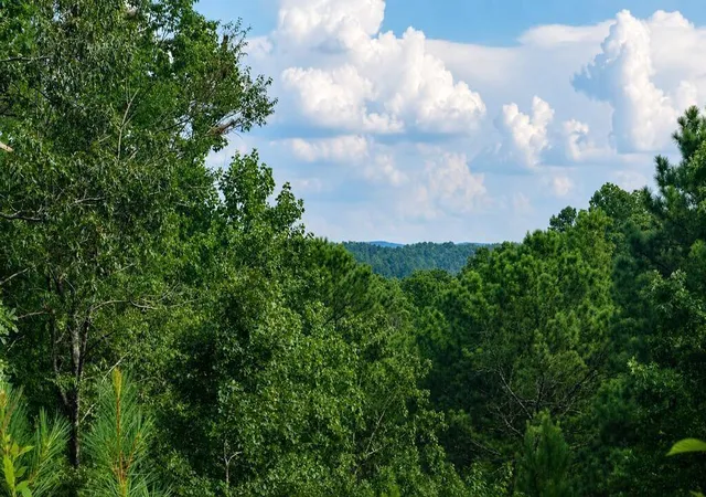 Photo 1 of Land for sale at 0 Shallow Water Way, Talking Rock, GA 30175 | MLS# 7830089 | Listing updated on 2026-09-01