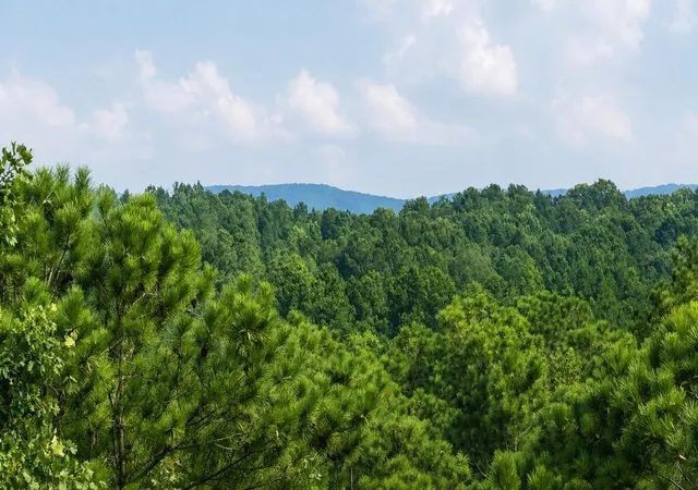 Photo 2 of Land for sale at 0 Shallow Water Way, Talking Rock, GA 30175 | MLS# 7830089 | Listing updated on 2026-09-01