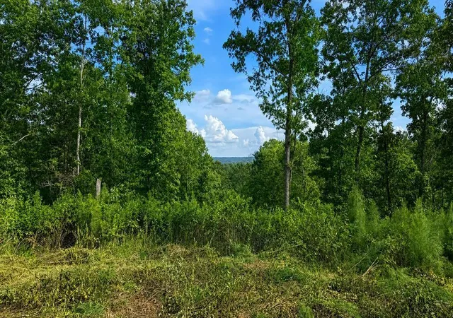 Photo 3 of Land for sale at 0 Shallow Water Way, Talking Rock, GA 30175 | MLS# 7830089 | Listing updated on 2026-09-01