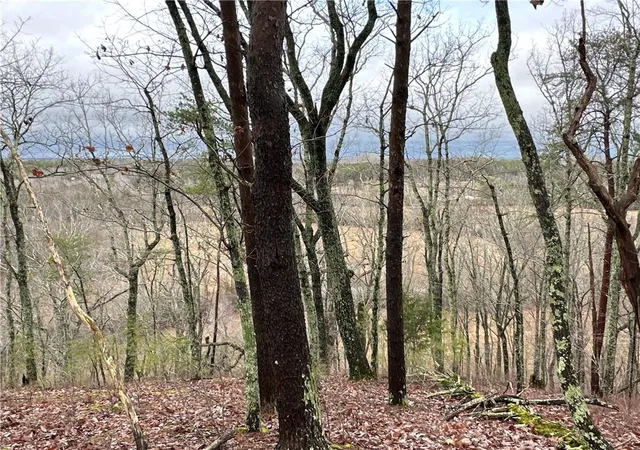 4th image of 0 Paris Mountain Rd, Rockmart, GA 30153 | MLS# 7380930