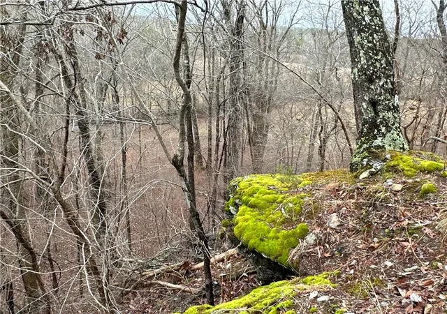 5th image of 0 Paris Mountain Rd, Rockmart, GA 30153 | MLS# 7380930