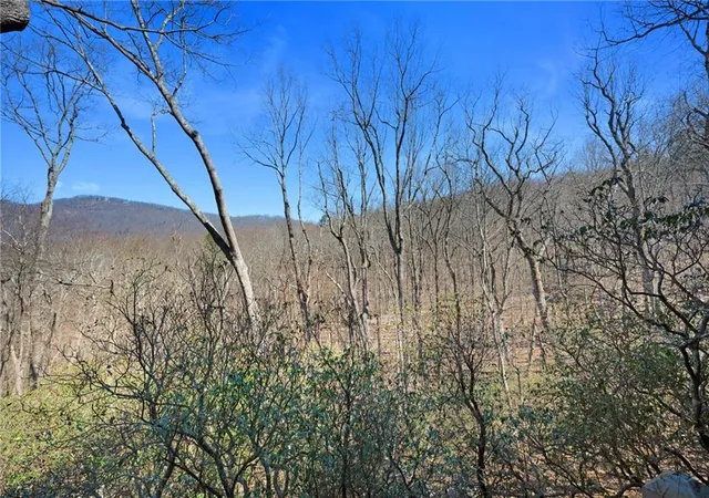 2nd image of 316 Tea Berry Ln, Jasper, GA 30143 | MLS# 7743244