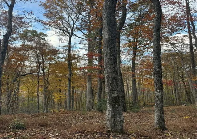 Photo 3 of Land for sale at 306 Northside Mountain Rd, Suches, GA 30572 | MLS# 7860235 | Listing updated on 2026-10-30