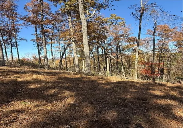 Photo 4 of Land for sale at 306 Northside Mountain Rd, Suches, GA 30572 | MLS# 7860235 | Listing updated on 2026-10-30