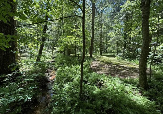 Photo 18 of Sale Pending at 1199 Mountain Cvs Rd, Dahlonega, GA 30533 | MLS# 7776794 | Listing updated on 2026-08-26