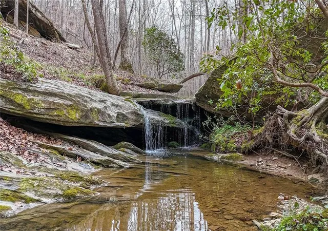 1st image of 0 Felton Rockmart Rd, Buchanan, GA 30113 | MLS# 7745747