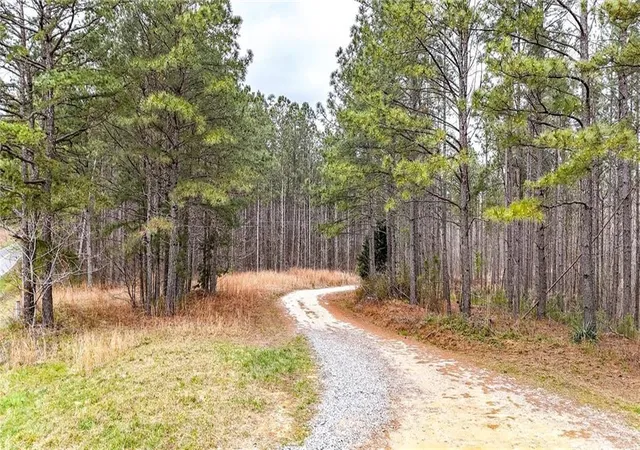 47th image of 0 Felton Rockmart Rd, Buchanan, GA 30113 | MLS# 7745747