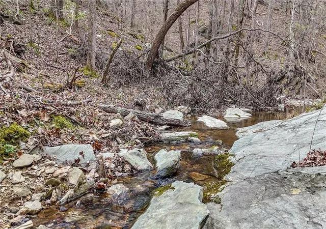4th image of 0 Felton Rockmart Rd, Buchanan, GA 30113 | MLS# 7745747