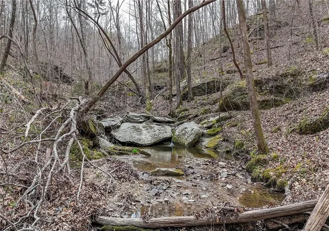 5th image of 0 Felton Rockmart Rd, Buchanan, GA 30113 | MLS# 7745747
