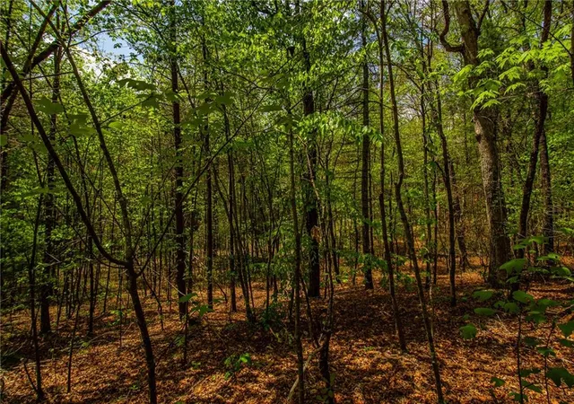 Photo 17 of Land for sale at 0 Antioch Valley Rd Trct 1, Gainesville, GA 30506 | MLS# 7479494 | Listing updated on 2026-06-01