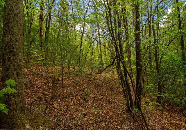 Photo 3 of Land for sale at 0 Antioch Valley Rd Trct 1, Gainesville, GA 30506 | MLS# 7479494 | Listing updated on 2026-06-01