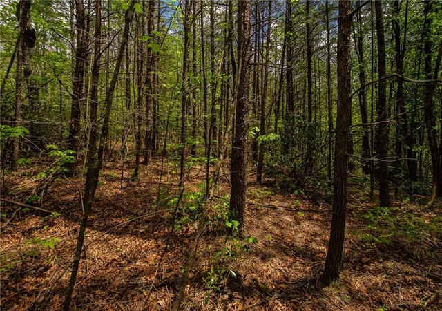 Photo 4 of Land for sale at 0 Antioch Valley Rd Trct 1, Gainesville, GA 30506 | MLS# 7479494 | Listing updated on 2026-06-01