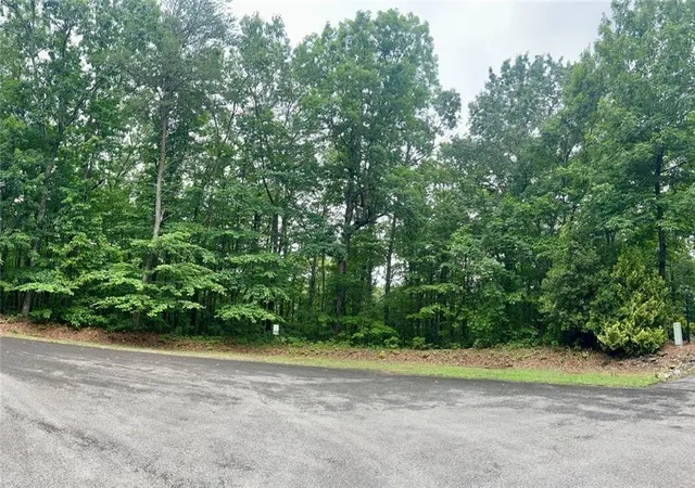 Homes for sale in Ellijay, GA | 0 Highpointe Trail, Ellijay, GA 30536 | MLS# 7784730