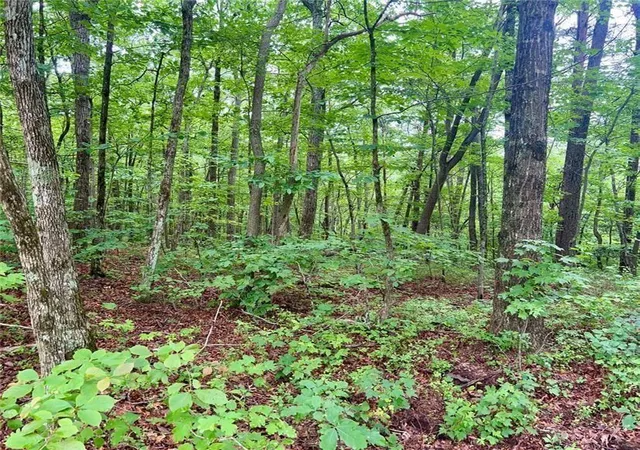 Homes for sale in Ellijay, GA | 0 Highpointe Trail, Ellijay, GA 30536 | MLS# 7784730