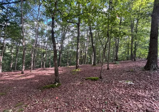 Photo 1 of Land for sale at Lot 5 Westwood Ave, Blairsville, GA 30512 | MLS# 7821960 | Listing updated on 2026-08-15