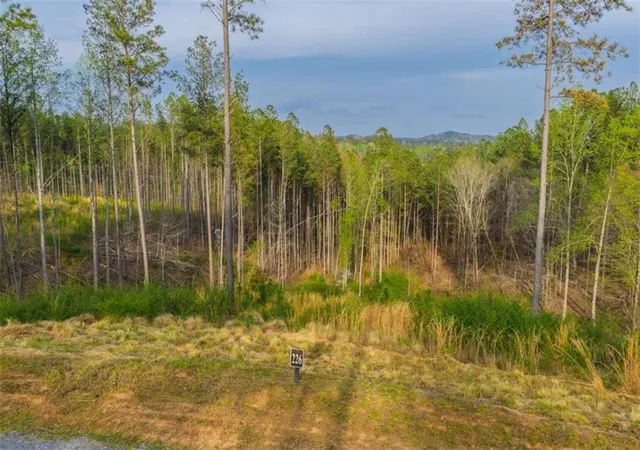 1st image of Lt 226 West Vista Ridge Pkwy, Talking Rock, GA 30175 | MLS# 7747284