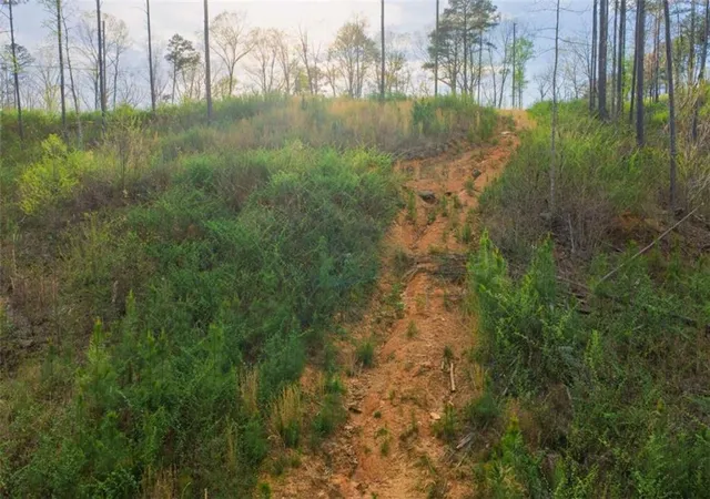 5th image of Lt 226 West Vista Ridge Pkwy, Talking Rock, GA 30175 | MLS# 7747284
