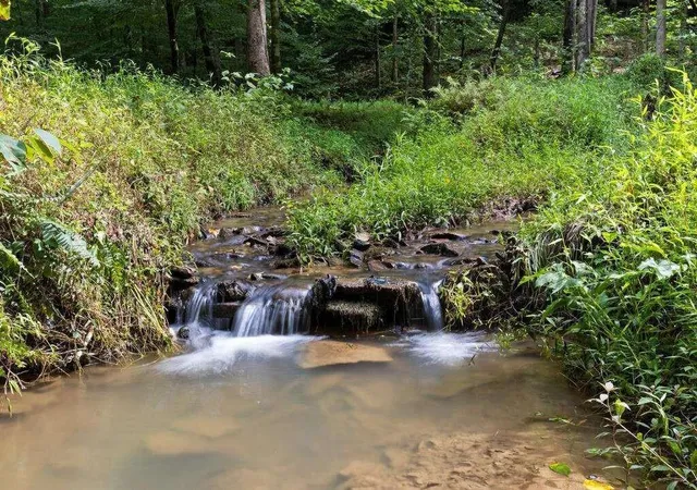 2nd image of 434 Lemmon Dr, Ellijay, GA 30540 | MLS# 7824154