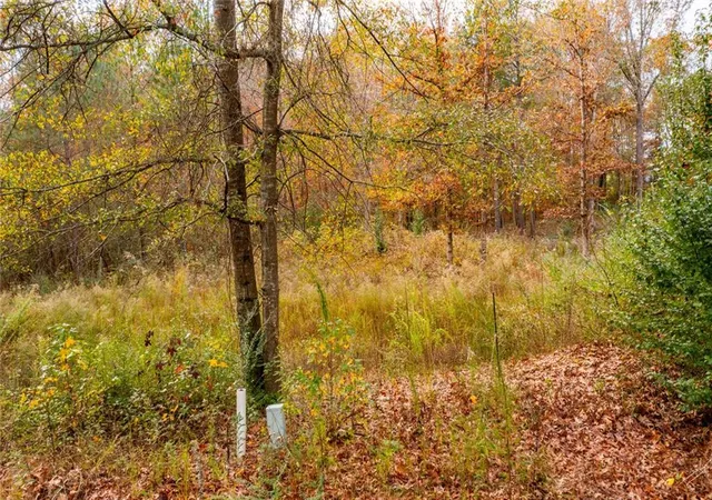 4th image of 301 River Pl Dr Nw, Calhoun, GA 30701 | MLS# 7821127