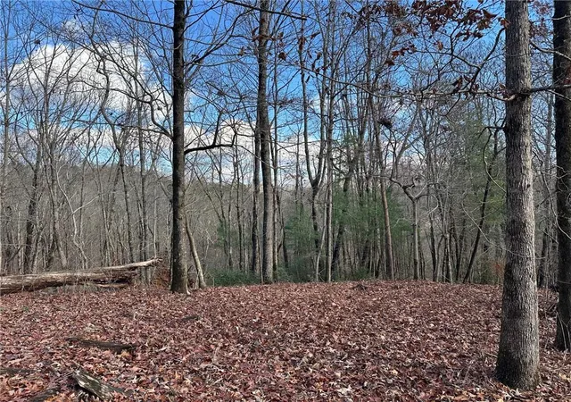 3rd image of 200 Mincey Acres Dr, Murrayville, GA 30564 | MLS# 7824453