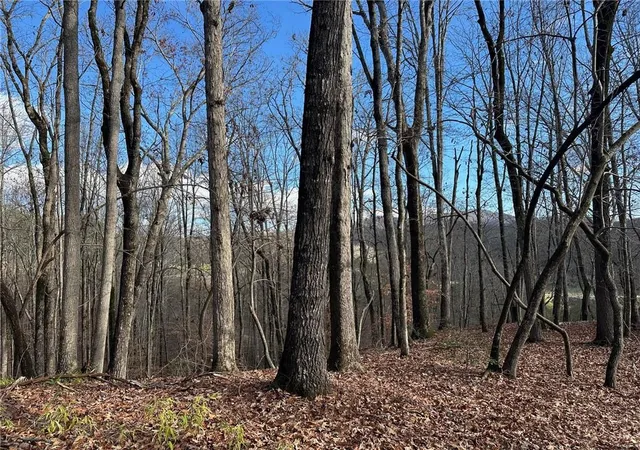4th image of 200 Mincey Acres Dr, Murrayville, GA 30564 | MLS# 7824453