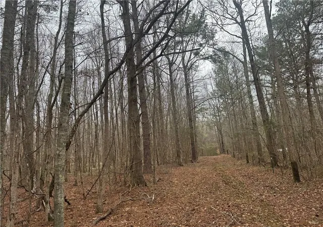 1st image of 0 Indian Creek Trl, Madison, GA 30650 | MLS# 7731154