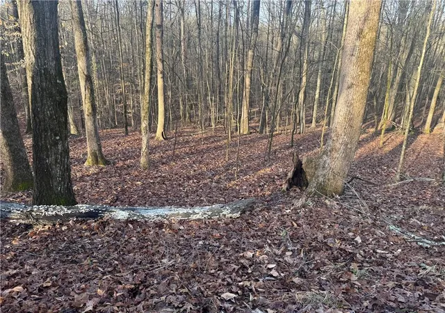 2nd image of 0 Indian Creek Trl, Madison, GA 30650 | MLS# 7731154