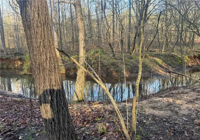 4th image of 0 Indian Creek Trl, Madison, GA 30650 | MLS# 7731154