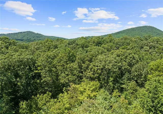2nd image of 220 Lakota Ln, Mineral Bluff, GA 30559 | MLS# 7744531
