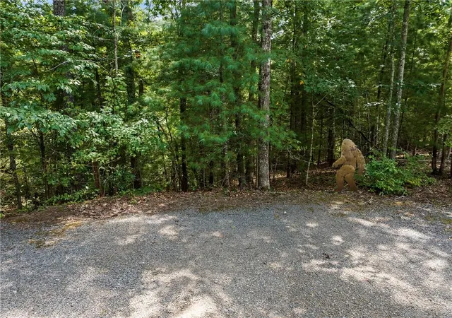 49th image of 220 Lakota Ln, Mineral Bluff, GA 30559 | MLS# 7744531