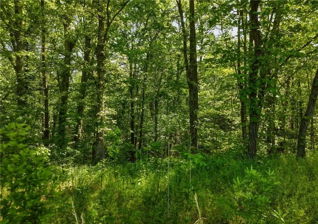 Photo 2 of Land for sale at Lot 5 Summit Dr, Dahlonega, GA 30533 | MLS# 7754097 | Listing updated on 2026-08-21