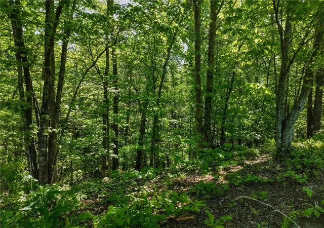 Photo 3 of Land for sale at Lot 5 Summit Dr, Dahlonega, GA 30533 | MLS# 7754097 | Listing updated on 2026-08-21