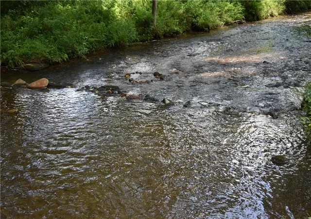 3rd image of 2632 Big Creek Rd, Cherry Log, GA 30522 | MLS# 7789338