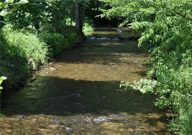 95th image of 2632 Big Creek Rd, Cherry Log, GA 30522 | MLS# 7789338