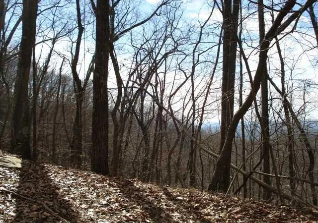 Land for sale at None, Ranger, GA 30734 | MLS# 4215851 | Listing updated on 2019-11-07