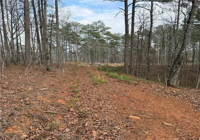 Photo 26 of Land for sale at 316 Pebble Tr St, Ellijay, GA 30540 | MLS# 7734256 | Listing updated on 2026-09-15