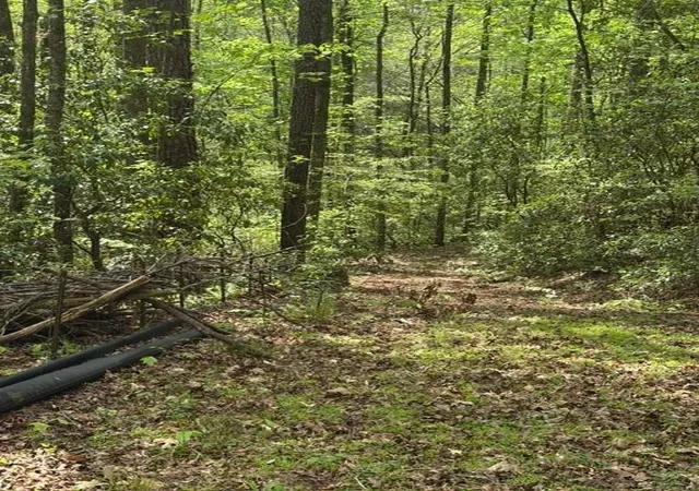 Photo 1 of Sale Pending at 348 Hemlock Trl, Ellijay, GA 30540 | MLS# 7755993 | Listing updated on 2026-10-09