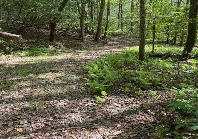 Photo 2 of Sale Pending at 348 Hemlock Trl, Ellijay, GA 30540 | MLS# 7755993 | Listing updated on 2026-10-09