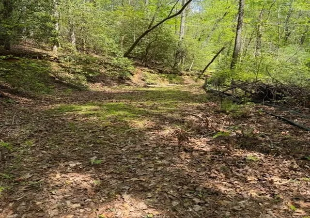 Photo 3 of Sale Pending at 348 Hemlock Trl, Ellijay, GA 30540 | MLS# 7755993 | Listing updated on 2026-10-09