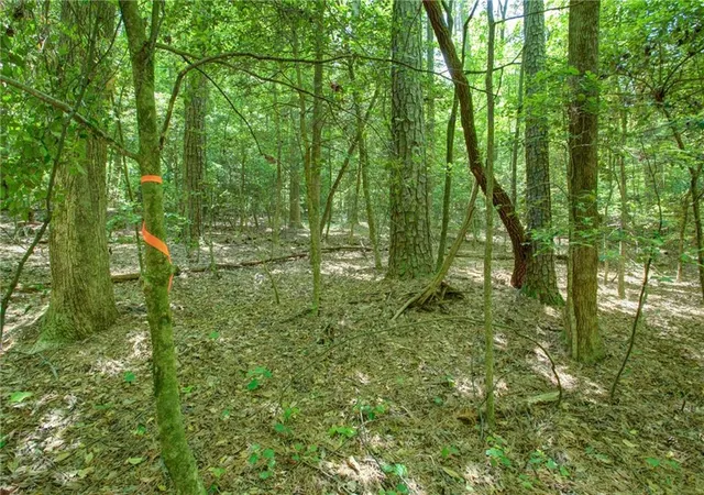 Homes for sale in Dawsonville, GA | 0 Hwy 136 (312 Acres), Dawsonville, GA 30534 | MLS# 7764278