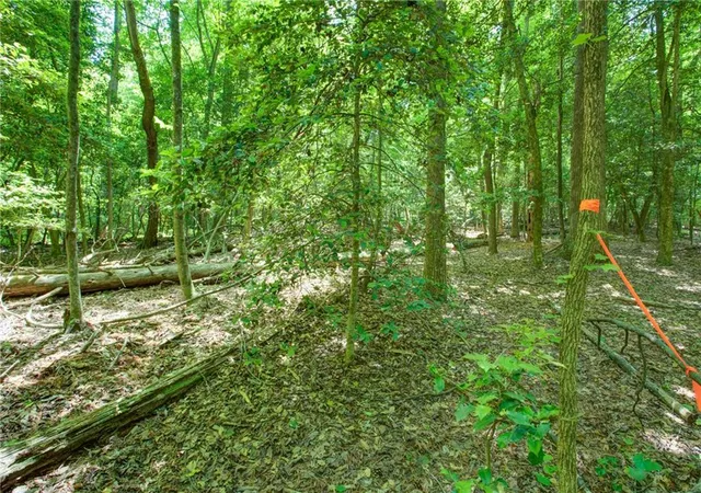 Homes for sale in Dawsonville, GA | 0 Hwy 136 (312 Acres), Dawsonville, GA 30534 | MLS# 7764278